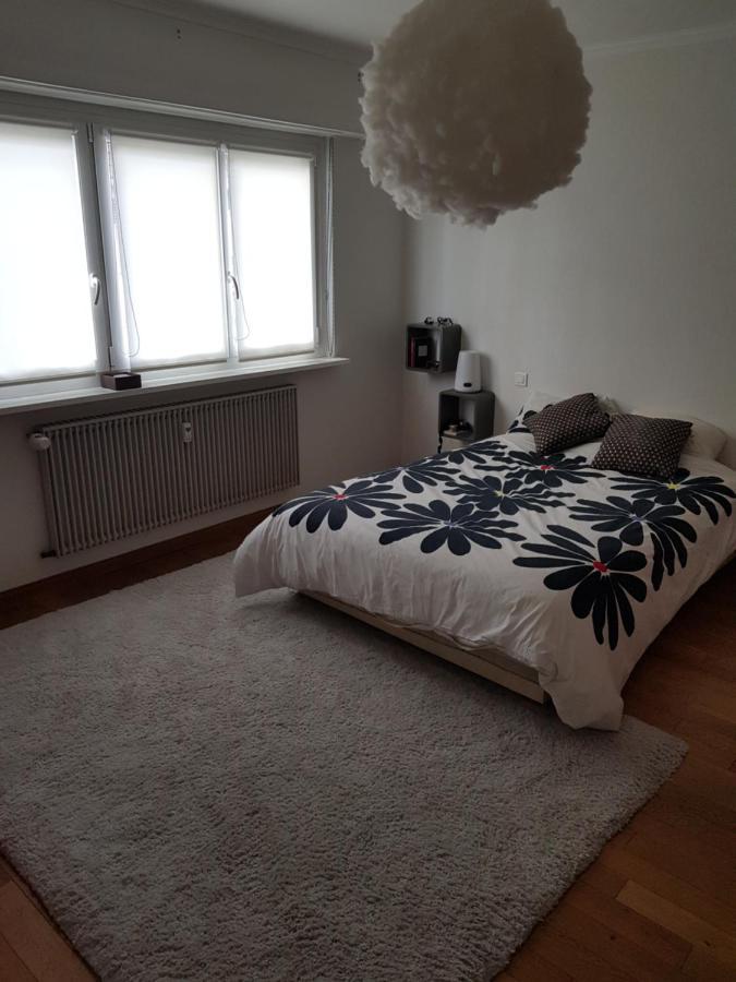 Joli Appartement Calme Et Spacieux, Proche Strasbourg Duppigheim Extérieur photo